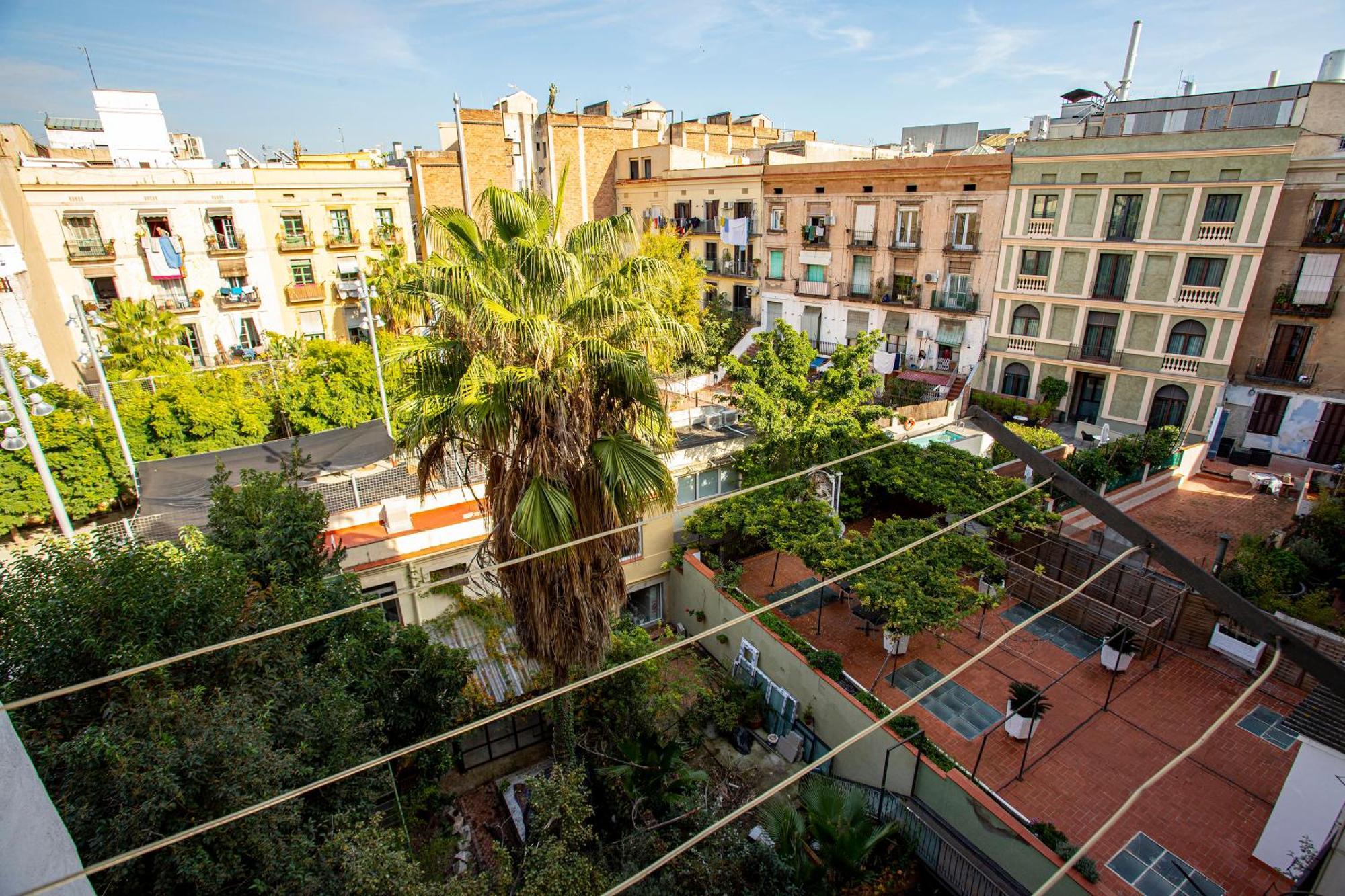 Apartment Fantastic Gothic 00 Barcelona